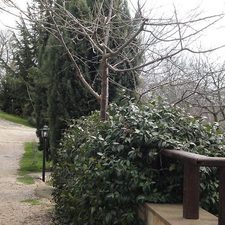 Hotel Agriturismo Le Valli Acuto Exterior foto