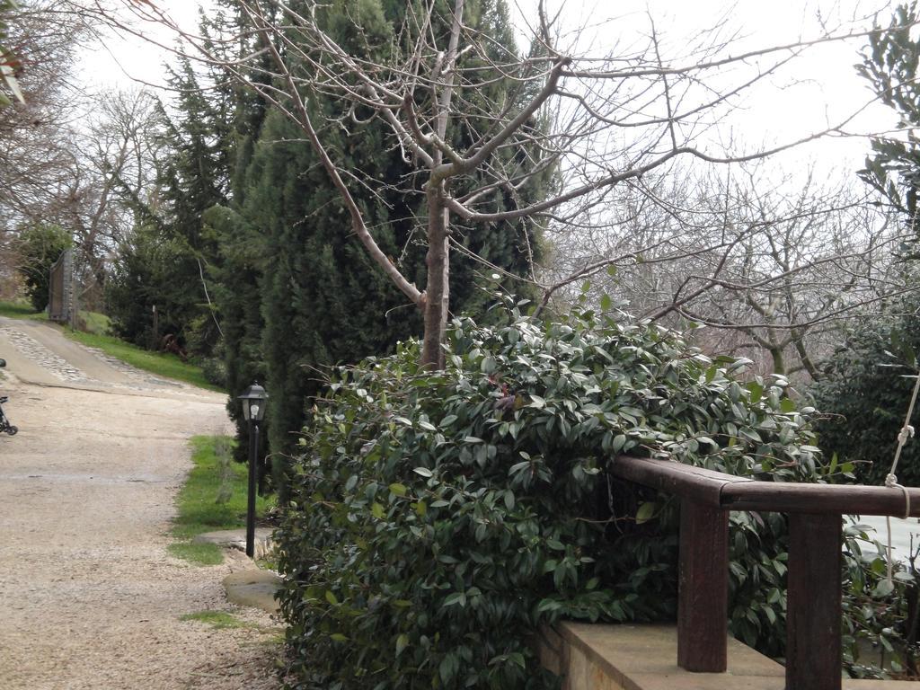 Hotel Agriturismo Le Valli Acuto Exterior foto